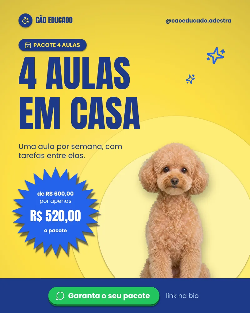 Post “Pacote 4 aulas em casa.” do Feed Pronto Adestramento