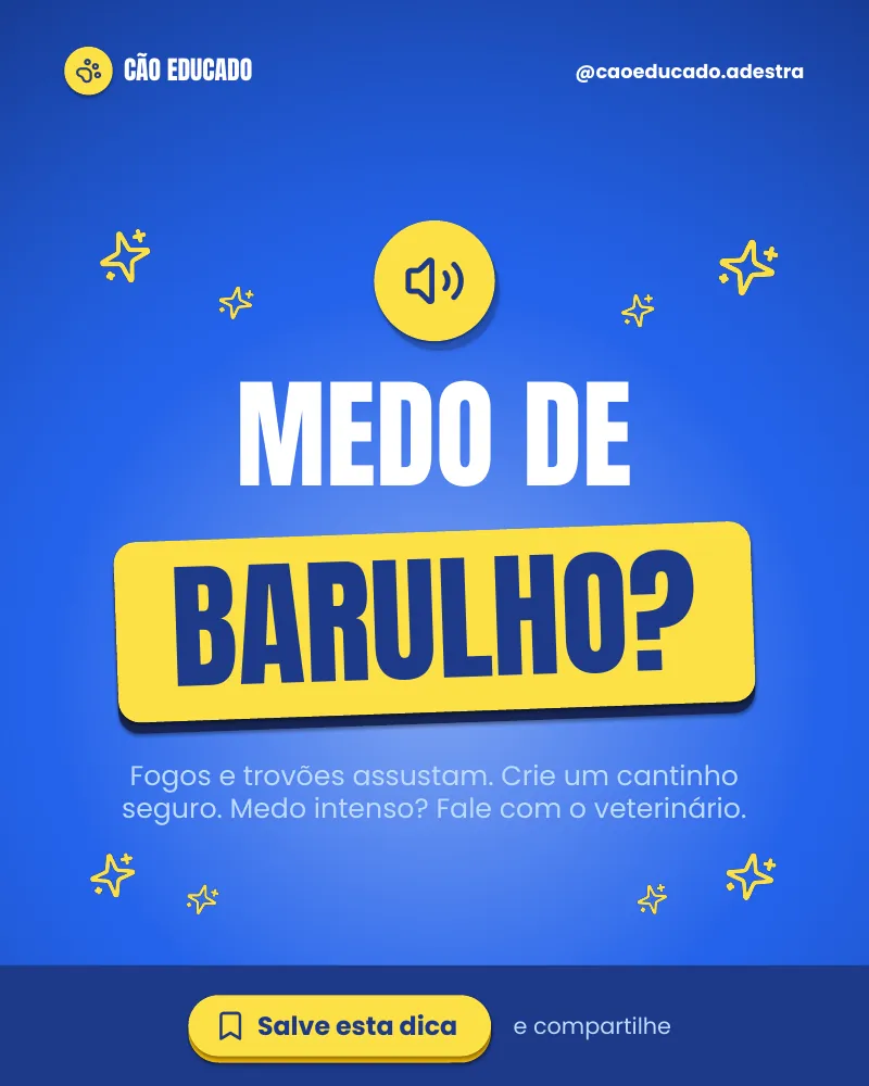 Post “Medo de barulho?” do Feed Pronto Adestramento