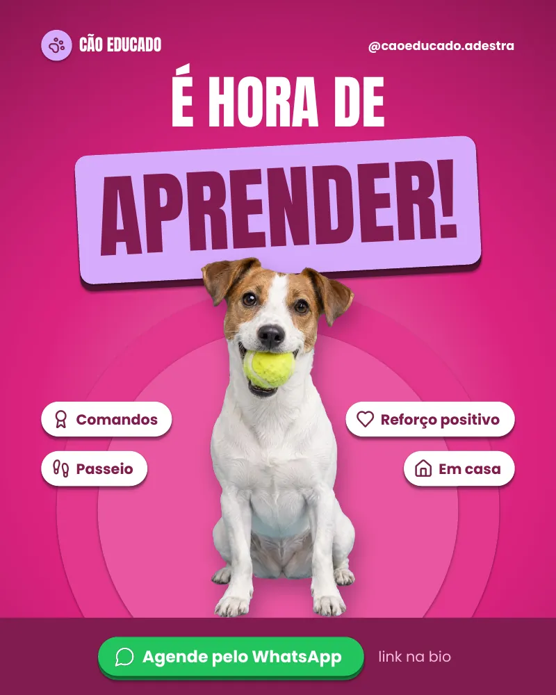 Post “É hora de aprender!”, edição rosa