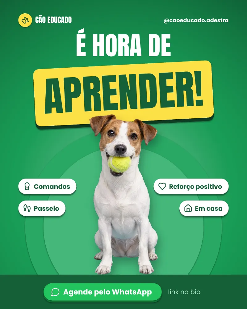 Post “É hora de aprender!”, edição verde