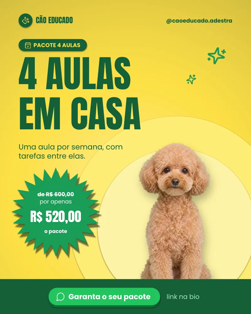 Post “Pacote 4 aulas em casa.”, edição verde