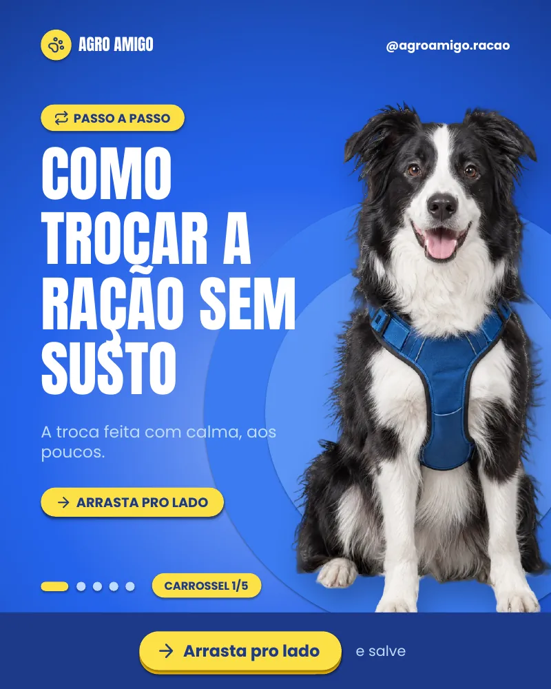 Carrossel “Como trocar a ração sem susto.”, página 1 de 5