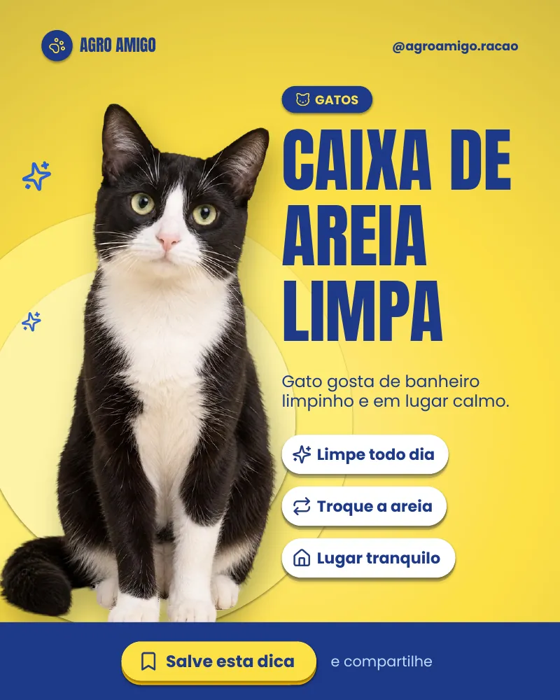 Post “Caixa de areia limpa.” do Feed Pronto Agropet