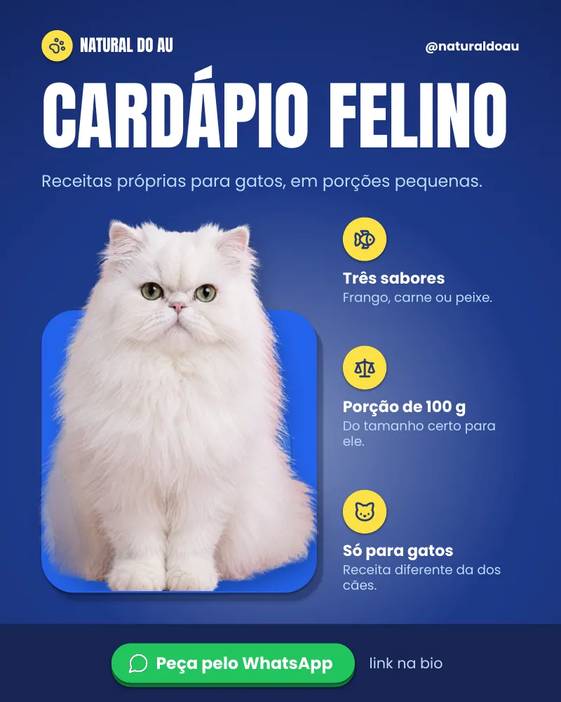 Post “Gato também tem cardápio aqui.” do Feed Pronto Comida Natural