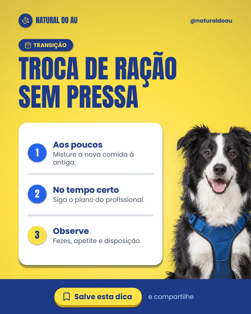 Post “Troca de ração para comida natural? Sem pressa.” do Feed Pronto Comida Natural
