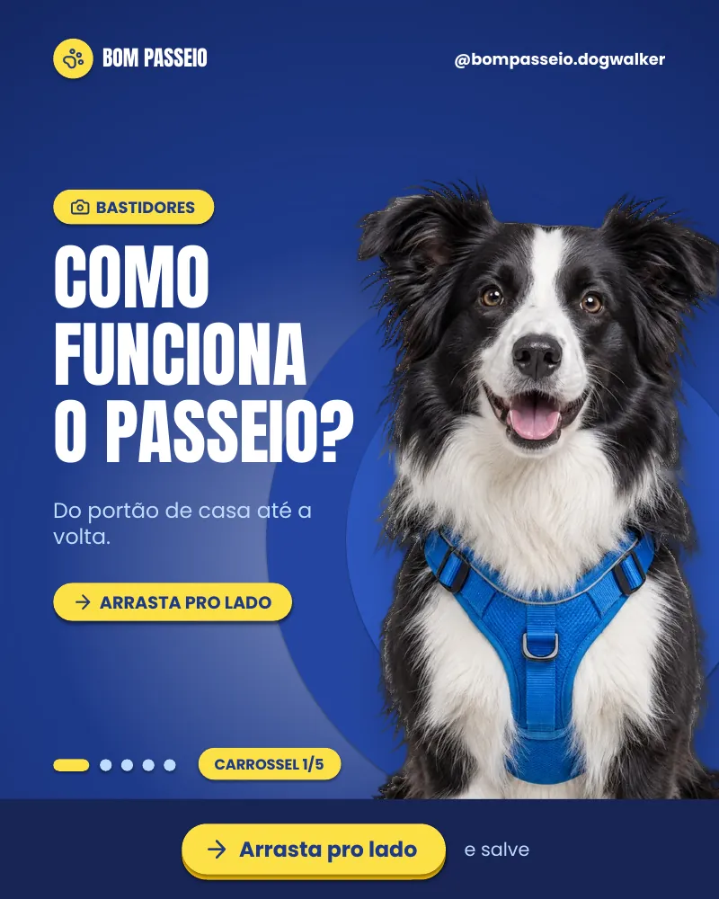 Carrossel “Como funciona o passeio?”, página 1 de 5