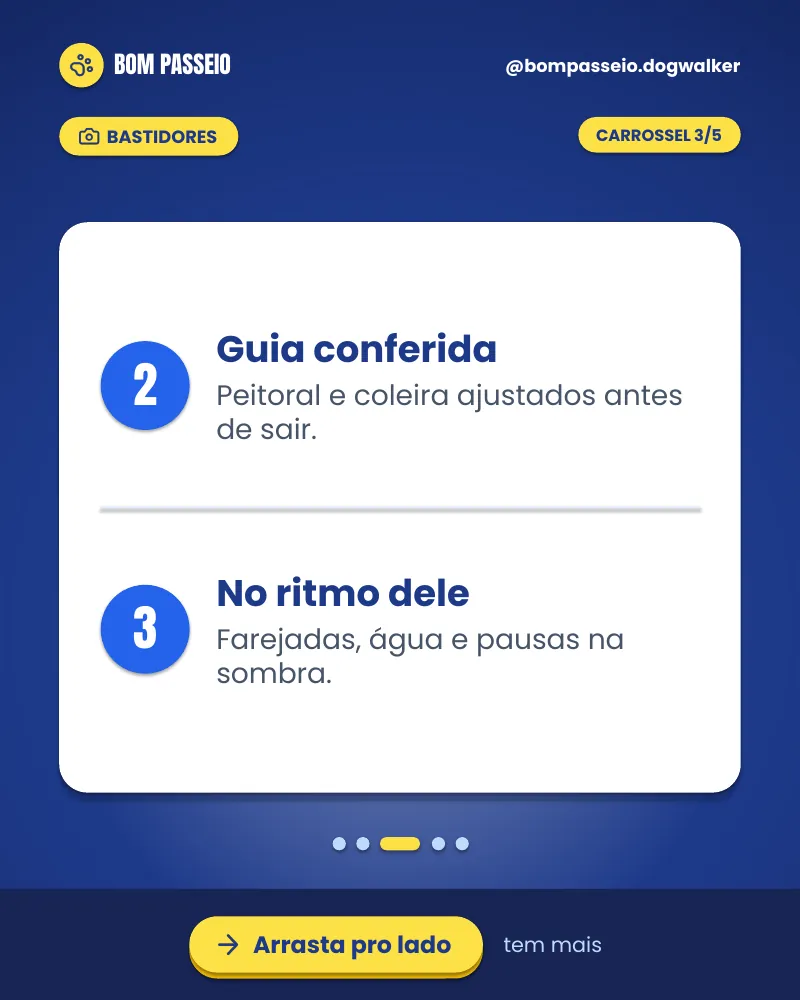 Carrossel “Como funciona o passeio?”, página 3 de 5