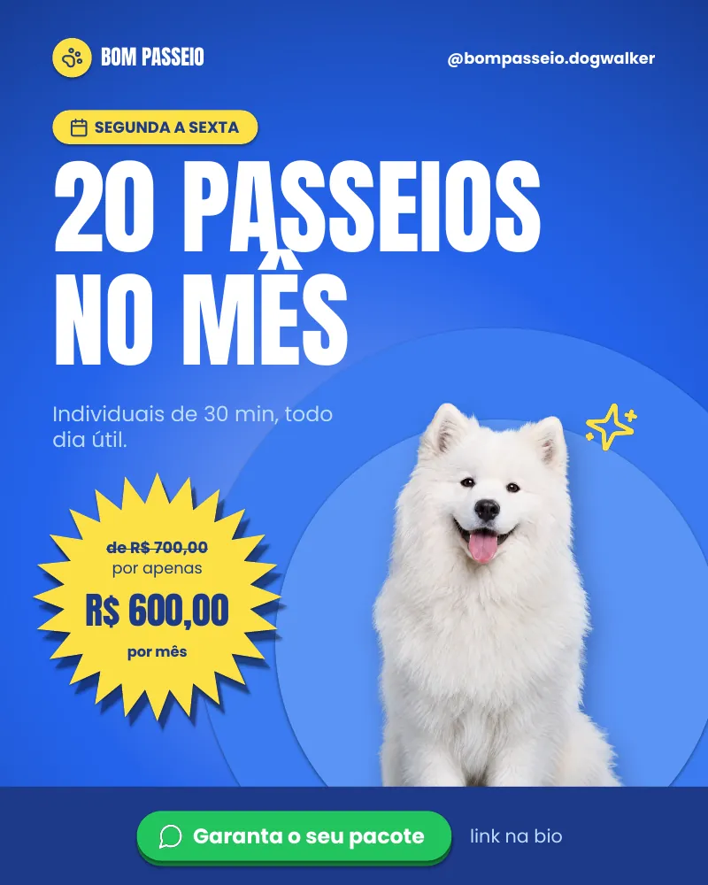 Post “Pacote 20 passeios no mês.” do Feed Pronto Dog Walker