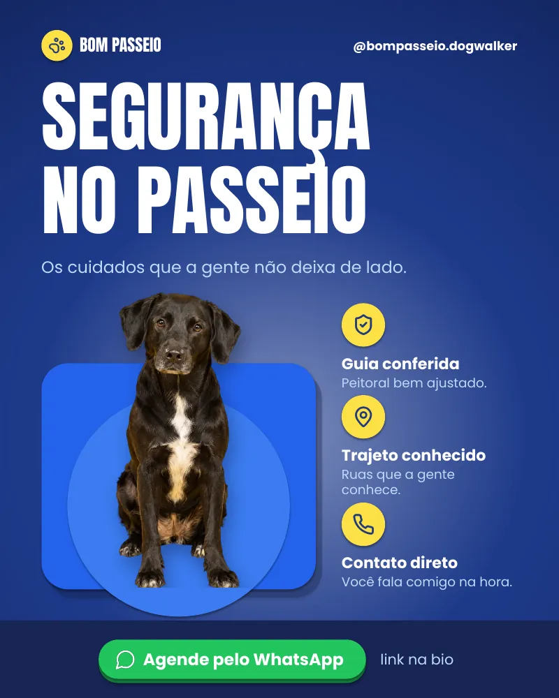 Post “Segurança no passeio.” do Feed Pronto Dog Walker