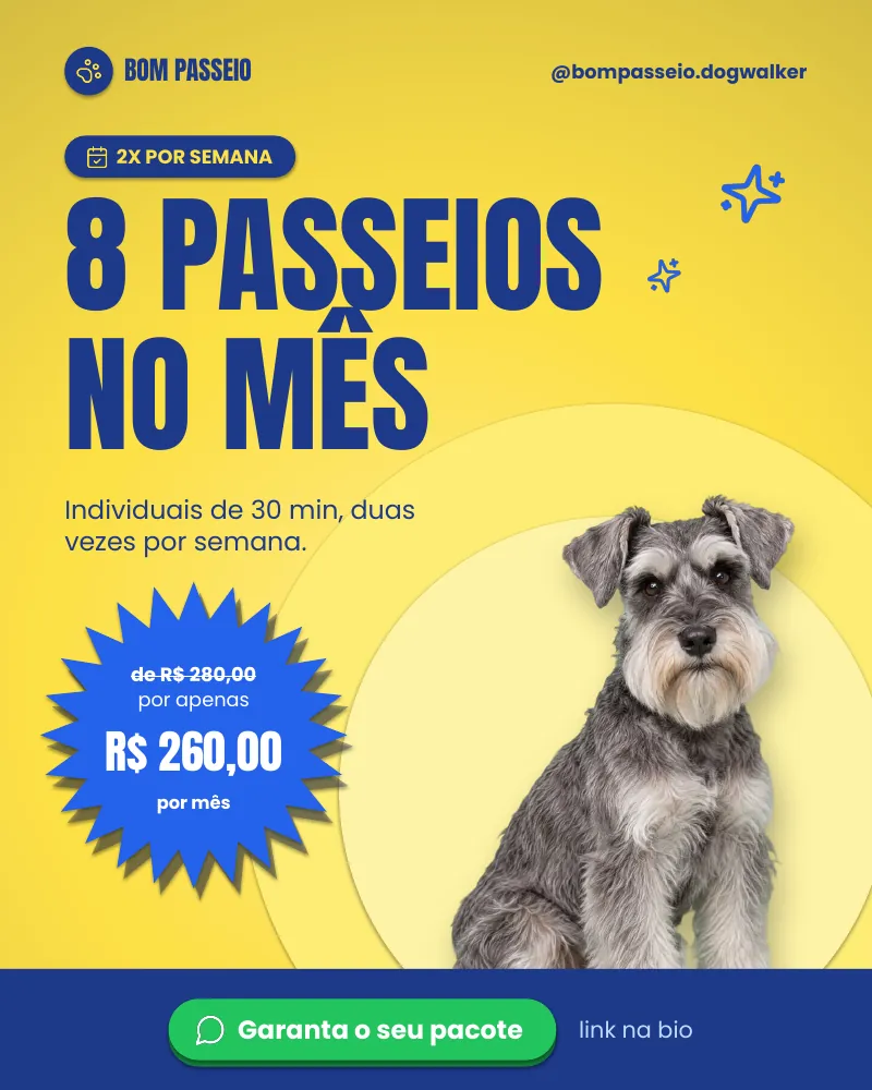 Post “Pacote 8 passeios no mês.” do Feed Pronto Dog Walker