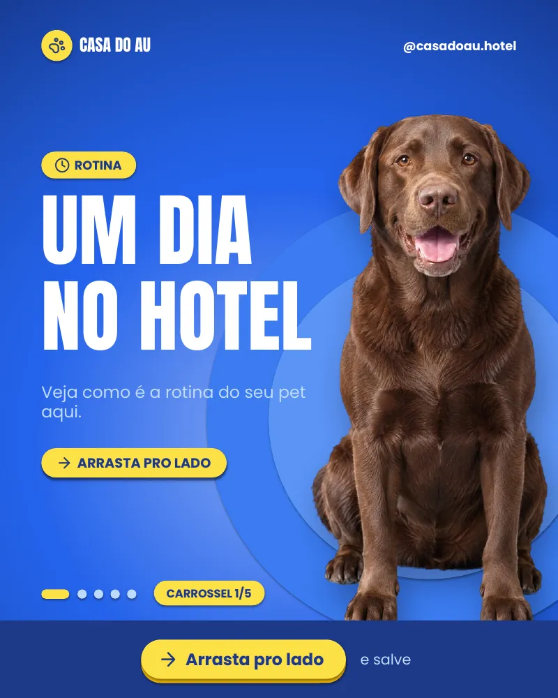 Carrossel “Como é um dia no hotel?”, página 1 de 5