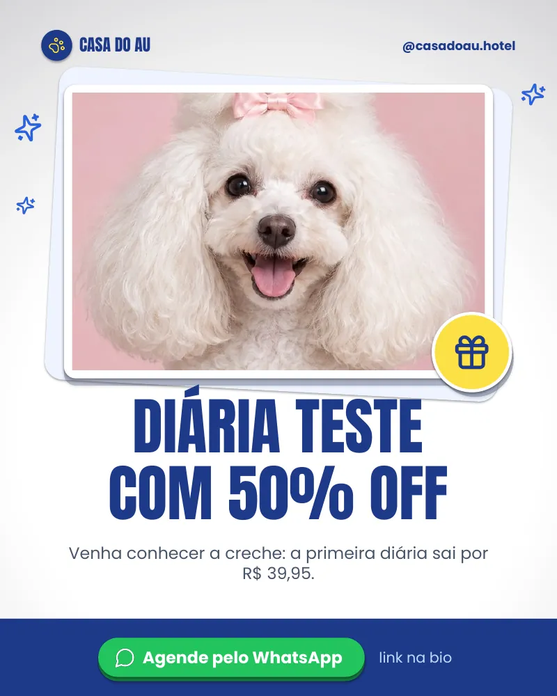 Post “Diária teste com 50% off!” do Feed Pronto Hotel e Creche