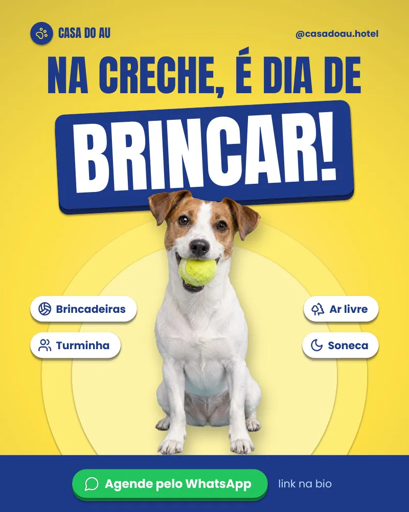 Post “Na creche, é dia de brincar!” do Feed Pronto Hotel e Creche