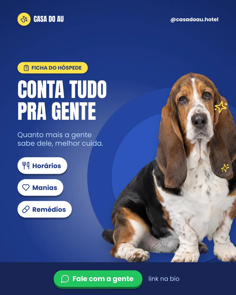 Post “Conta tudo pra gente!” do Feed Pronto Hotel e Creche
