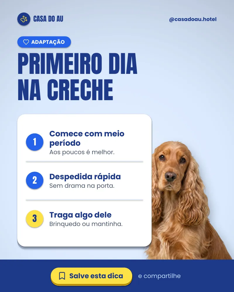 Post “Primeiro dia na creche.” do Feed Pronto Hotel e Creche