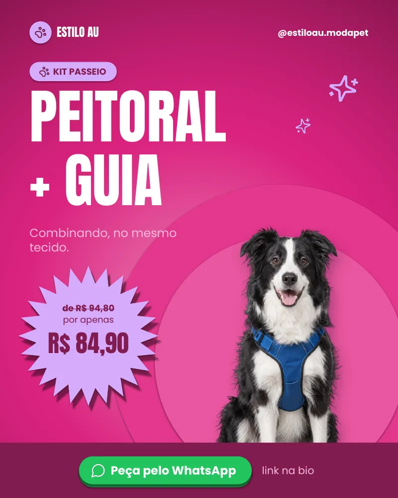 Post “Kit passeio: peitoral + guia combinando.”, edição rosa
