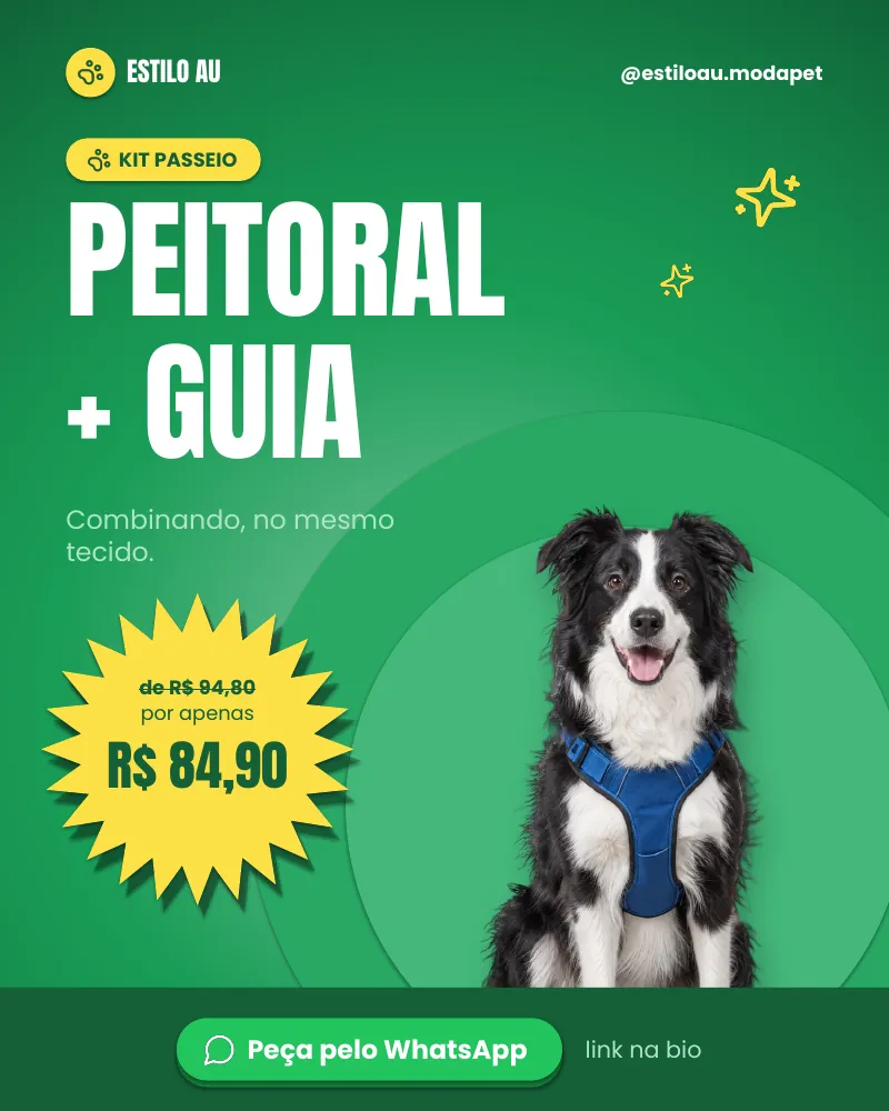 Post “Kit passeio: peitoral + guia combinando.”, edição verde