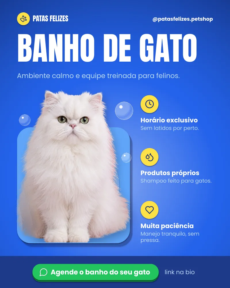 Post “Gato também toma banho, e merece um ambiente calmo.” do Feed Pronto Pet Shop