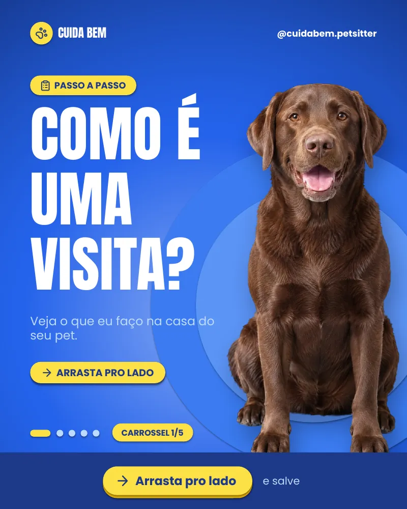 Carrossel “Como é uma visita de pet sitter?”, página 1 de 5