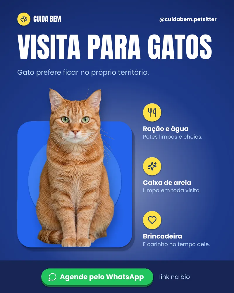 Post “Gato prefere ficar no território dele.” do Feed Pronto Pet Sitter