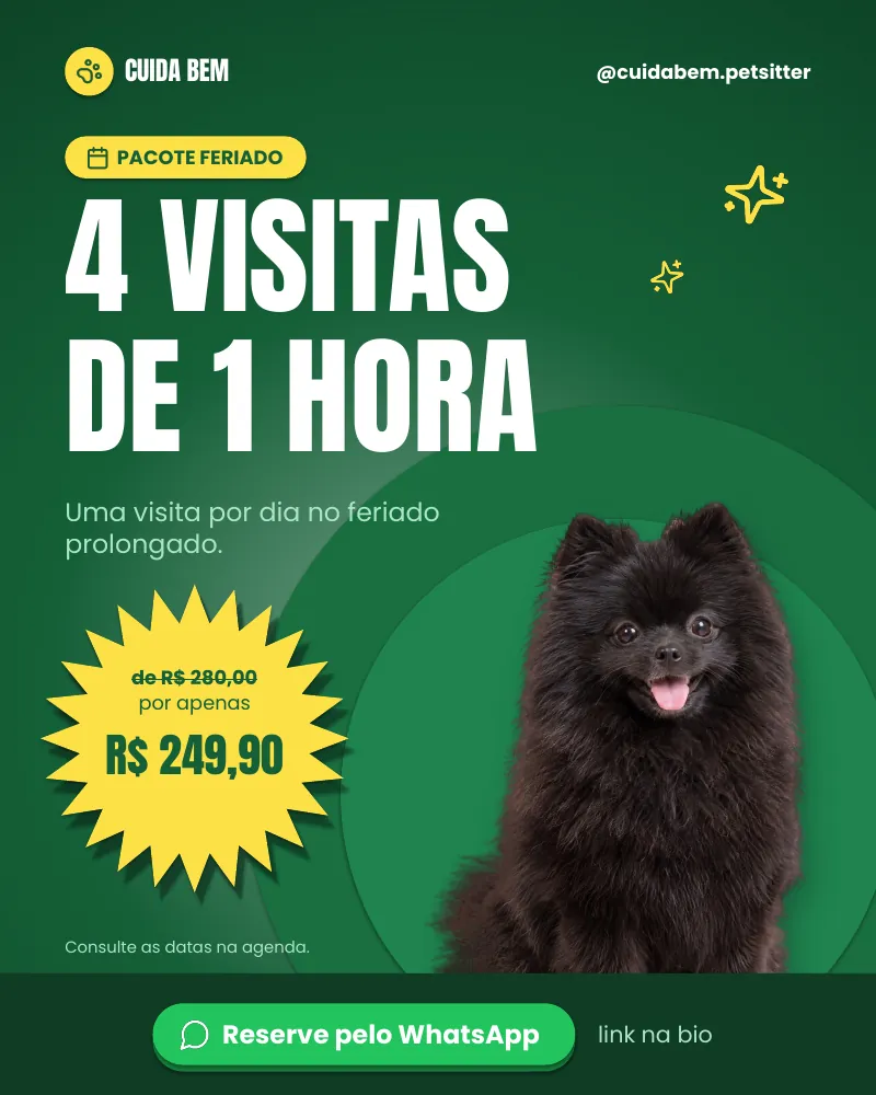 Post “Pacote feriado: 4 visitas de 1 hora.”, edição verde