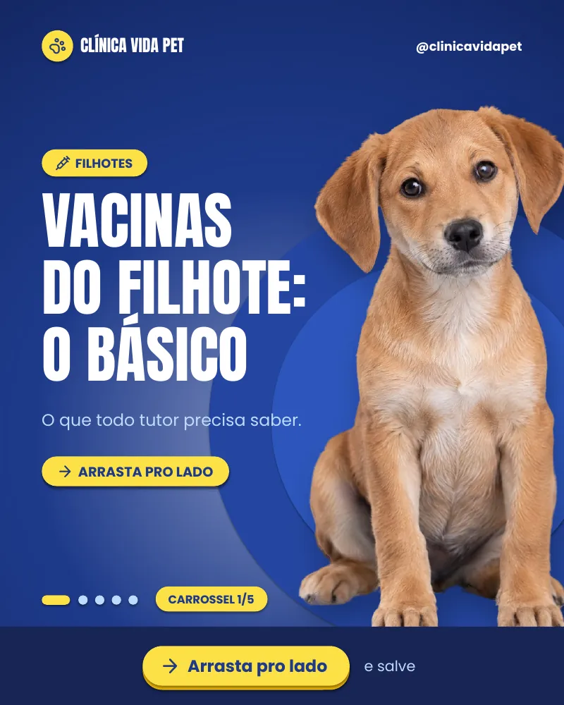 Carrossel “Vacinas do filhote: o básico.”, página 1 de 5