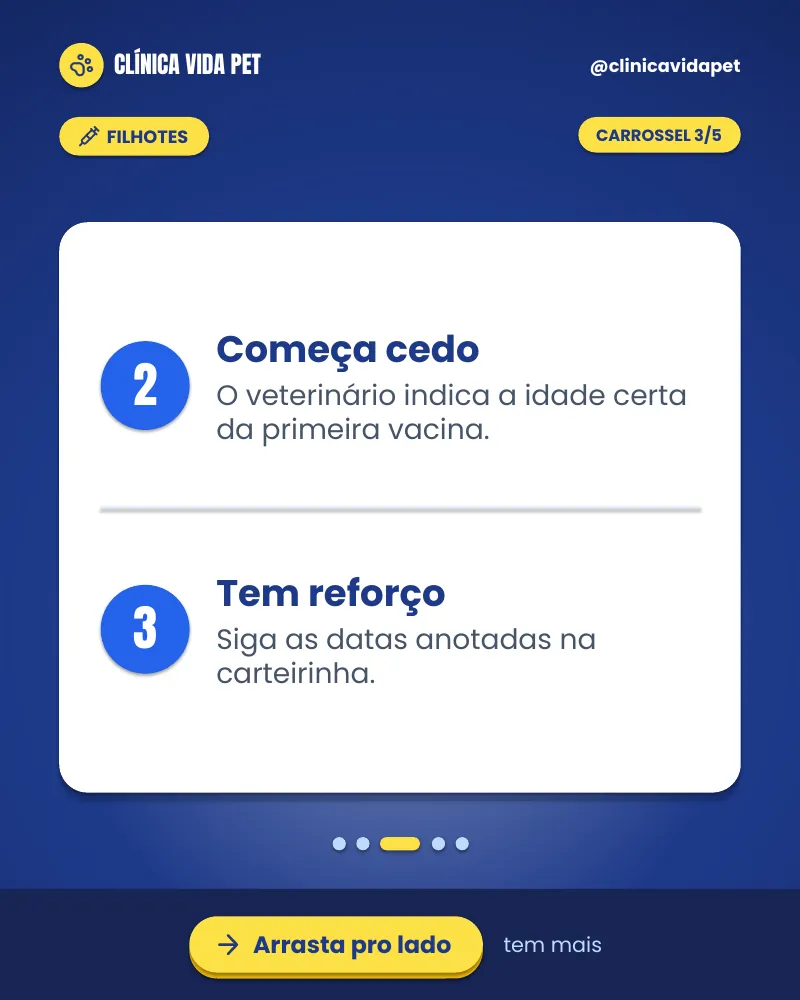 Carrossel “Vacinas do filhote: o básico.”, página 3 de 5