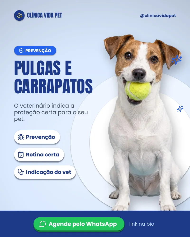 Post “Pulgas e carrapatos: prevenir é o caminho.” do Feed Pronto Veterinária
