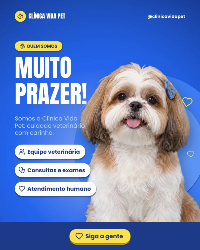 Post “Muito prazer!” do Feed Pronto Veterinária